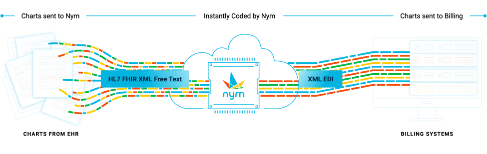 Full Seamless Integration Graphic – Light
