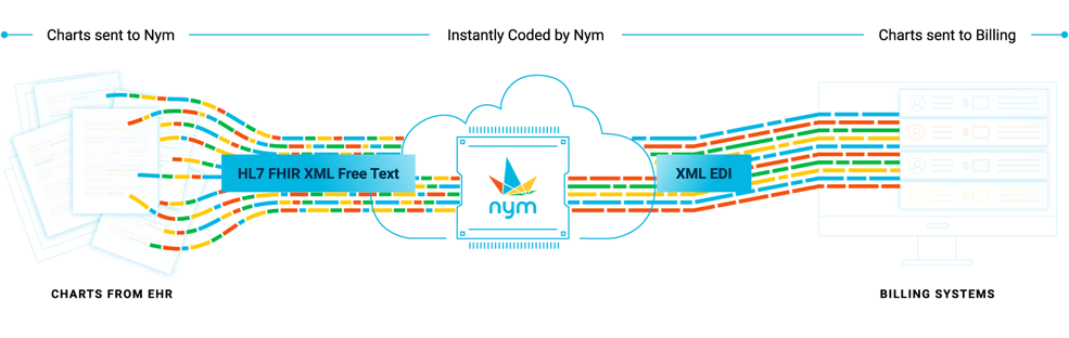 Full Seamless Integration Graphic – Light